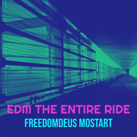 Edm the Entire Ride | Boomplay Music