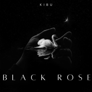 Black Rose