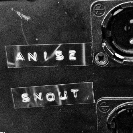 Anise Snout | Boomplay Music