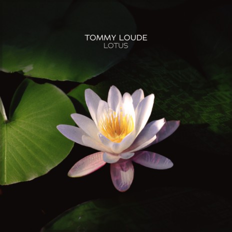 Lotus (Extended Mix) | Boomplay Music