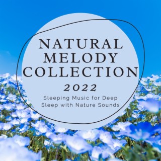 Natural Melody Collection 2022: Sleeping Music for Deep Sleep with Nature Sounds
