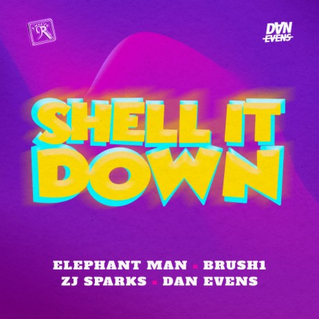 Shell It Down ft. Dan Evens, ZJ Sparks & Brush1 The Road Marshal | Boomplay Music