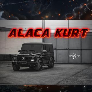 Alaca Kurt