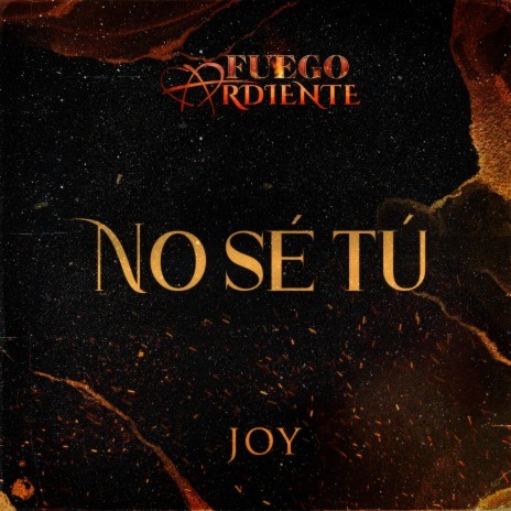 No Sé Tú (De La Telenovela Fuego Ardiente) | Boomplay Music