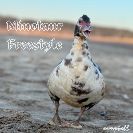 Minotaur Freestyle