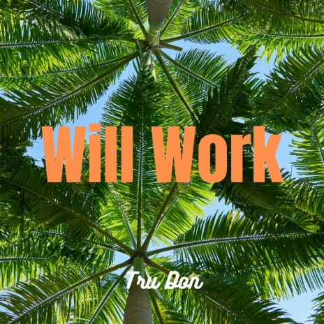 Will Work | Boomplay Music