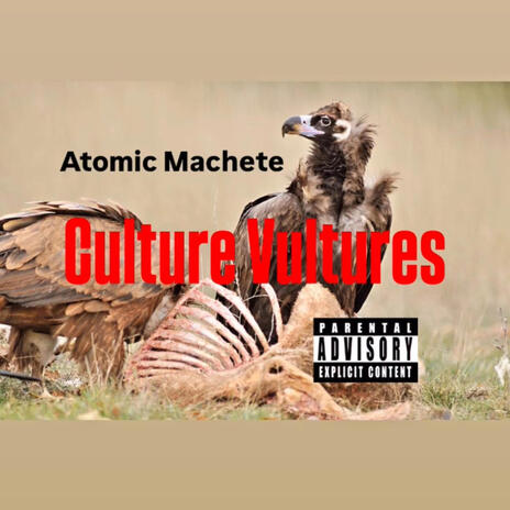 Culture Vultures | Boomplay Music