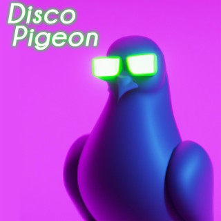 Disco Pigeon