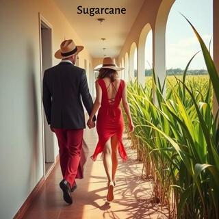 Sugarcane