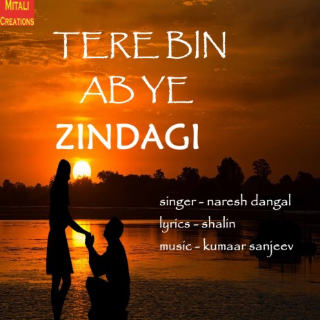 Tere Bin Ab Ye Zindagi ft. Naresh Dangal | Boomplay Music