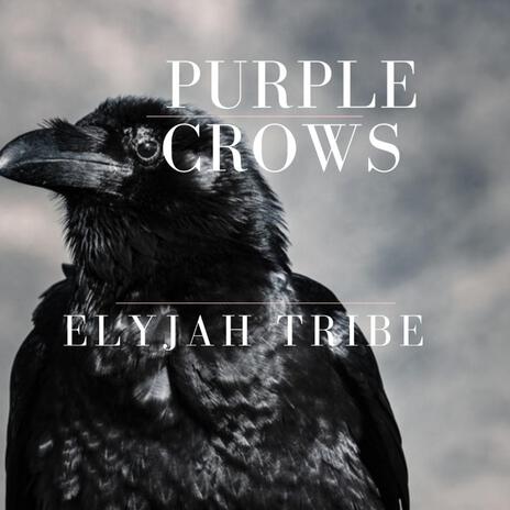 Purple Crows ft. Jojo Caroline | Boomplay Music