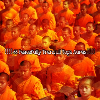 ! ! ! ! 66 Peacefully Tranquil Yoga Auras ! ! ! !