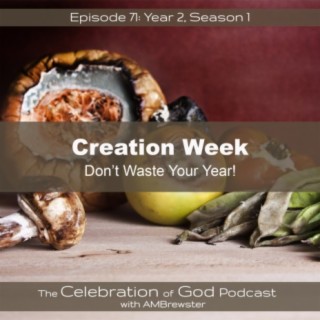 Episode 71: COG 71: Creation Week | Don’t Waste Your Year!