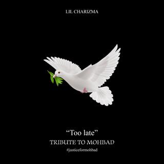 Too late (Tribute to Mohbad) lyrics | Boomplay Music