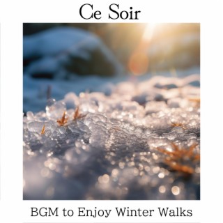 Bgm to Enjoy Winter Walks