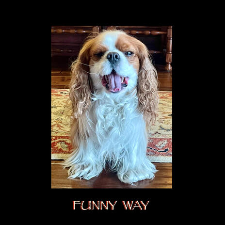 Funny Way | Boomplay Music