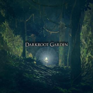 darkroot garden