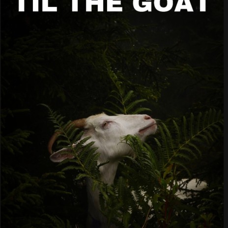 Til The Goat