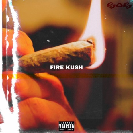 Fire Kush ft. Mario The Killer & WTF | Boomplay Music