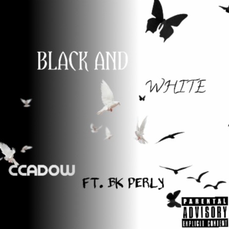 BLACK AND WHITE (feat. BK PERLY) | Boomplay Music