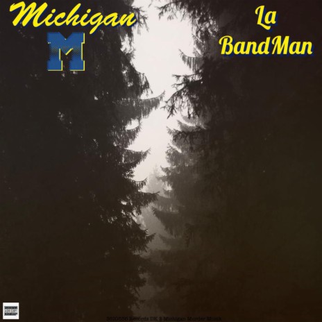 Michigan M