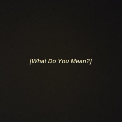 What Do You Mean? ft. StinkyT & Gross | Boomplay Music