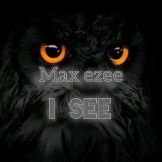 Max ezee