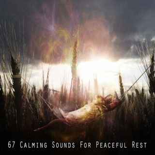67 Calming Sounds For Peaceful Rest