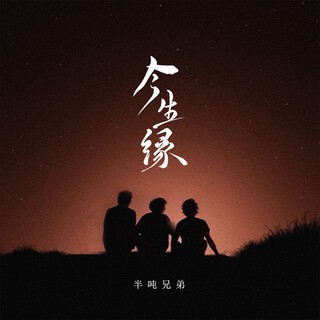 今生缘 (伴奏) lyrics | Boomplay Music