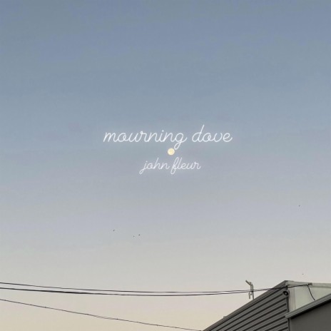 Mourning Dove | Boomplay Music