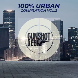 100% Urban Compilation, Vol. 2