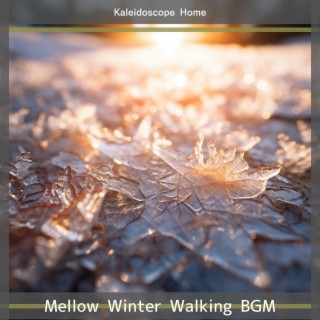 Mellow Winter Walking Bgm