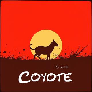 Coyote