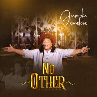 No Other lyrics | Boomplay Music