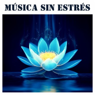 Música Sin Estrés - Cómo Deshacerse de la Ansiedad con Música Étnica del Mundo