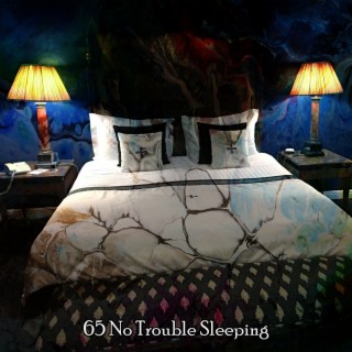 65 No Trouble Sleeping