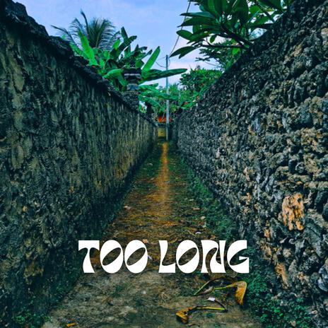 Too Long | Boomplay Music