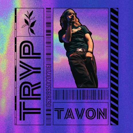 TAVON | Boomplay Music