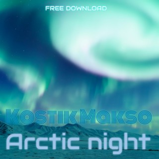 Arctic night