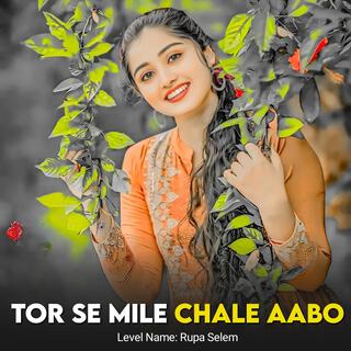 Tor Se Mile Chale Aabo