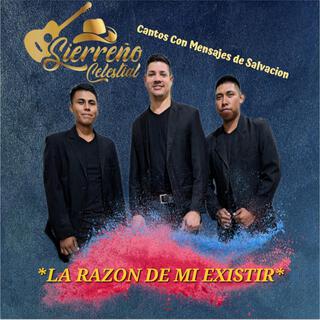 La razon de mi existir lyrics | Boomplay Music