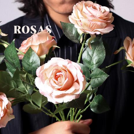 Rosas | Boomplay Music