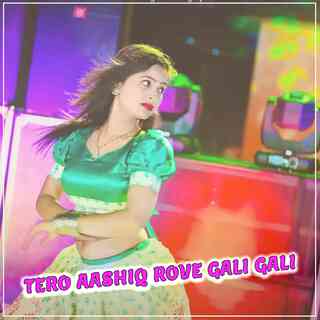 Tero Aashiq Rove Gali Gali