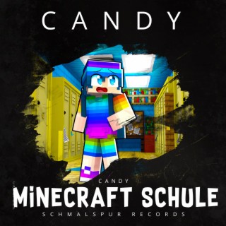 Minecraft Schule