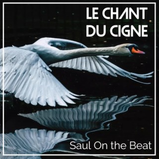 Le chant du Cigne