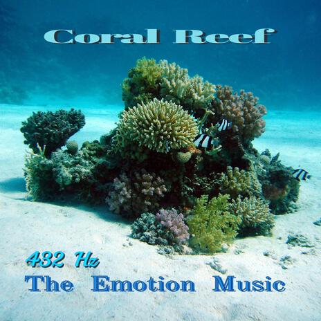 Coral reef | Boomplay Music