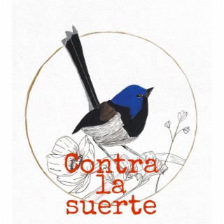 Contra la suerte lyrics | Boomplay Music