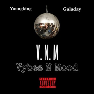 V.N.M (Vybz N Mood)