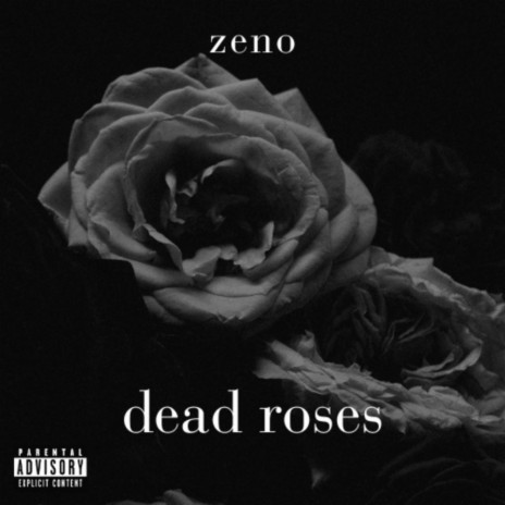 dead roses | Boomplay Music