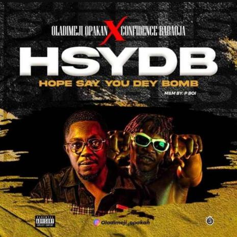 HSYDB ft. Confidence | Boomplay Music